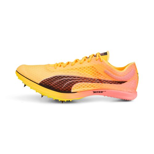 Pointes D?Athltisme Evospeed Distance Nitro? Elite