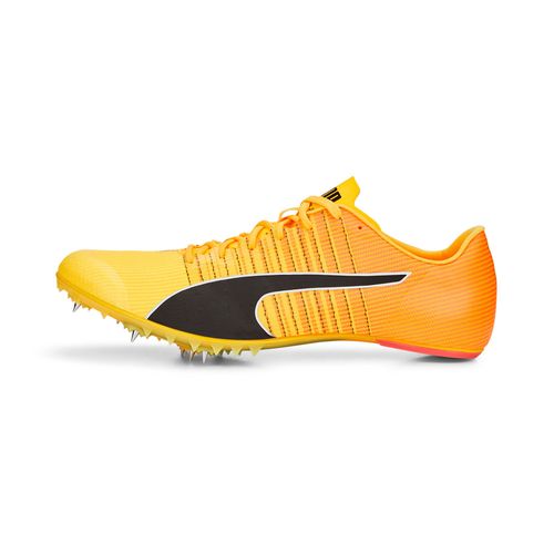 Pointes D?Athltisme Evospeed Tokyo Future 4