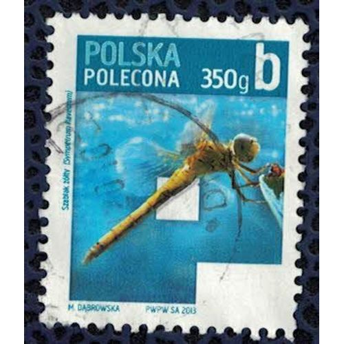 Pologne 2013 Oblitr Used Sympetrum Flaveolum Symptrum Jaune D'or Famille Libellulids