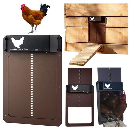 Porte De Poulailler Automatique,Minuterie D'ouverture De Porte De Garde Automatique De Nuit Et De Matin Sensible  La Lumire Pour Les Poulets Supplie