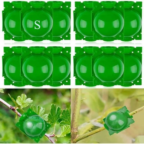 DIXIOUJAI 10 Pcs Boîte De Propagation De Plantes Boule De Greffage