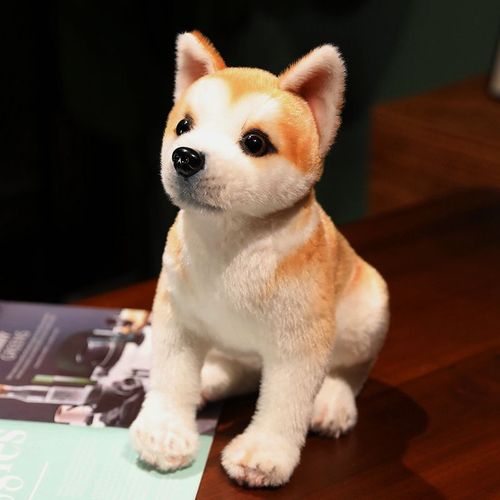 Poupe Akita Inu Shiba Inu, Chien Mignon, Jouet En Peluche, Machine  Griffes Chien Akita Normal Assis - 30 Cm