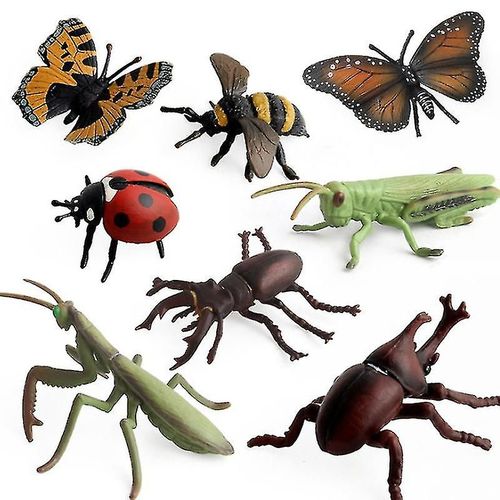 Poupe Modle D'Insecte Et D'Insecte Raliste Pour Enfants Jouet 8 Pices Poupe Insecte - Y