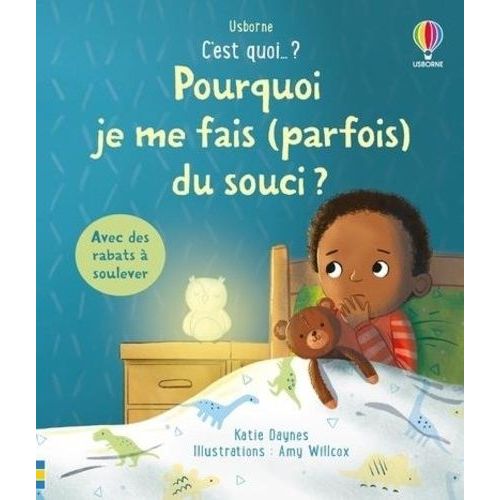 Pourquoi Je Me Fais (Parfois) Du Souci ? - Avec Des Rabats  Soulever    Format Non Precis 