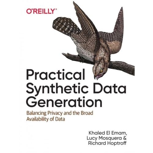 Practical Synthetic Data Generation    Format Broch 