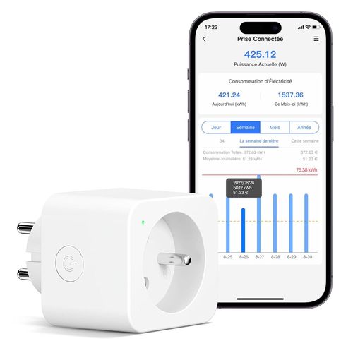 Prise Connecte (Type E), 16A Prise Wifi Compatible Avec Alexa Et Google Home, Prise Consommation lectrique Intelligente Avec Commande Vocale, Contrle  Distance Et Configuration[MAT790173]
