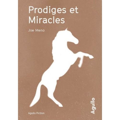 Prodiges Et Miracles    Format Beau livre 