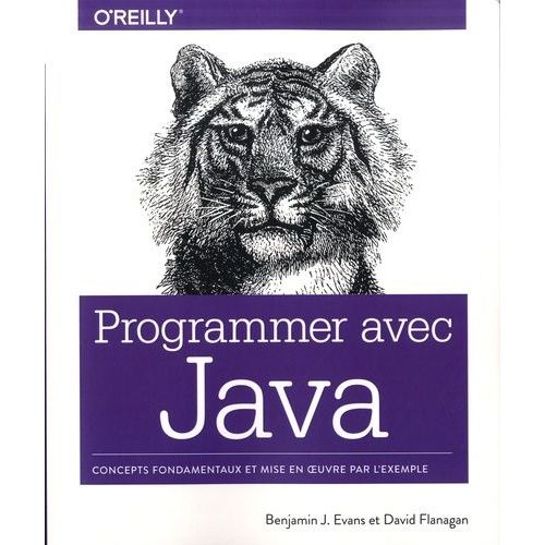 Programmer Avec Java    Format Grand Format 