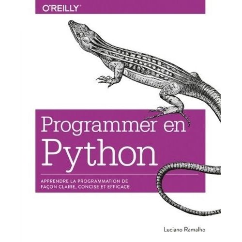 Programmer Avec Python   de Ramalho Luciano  Format Beau livre 