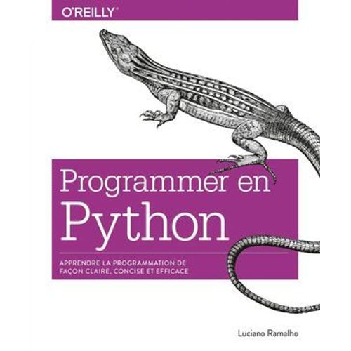 Programmer En Python  