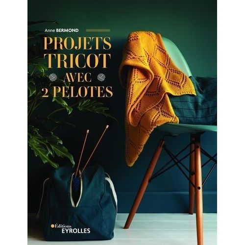 Projets Tricot Avec 2 Pelotes    Format Grand Format 