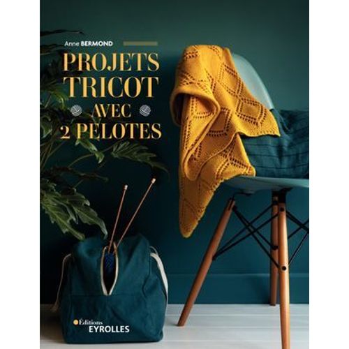 Projets Tricot Avec 2 Pelotes  