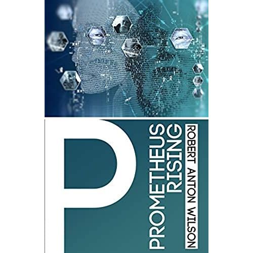 Prometheus Rising    Format Broch 