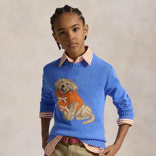 Pull Coton Motif Chiot Tricot Intarsia