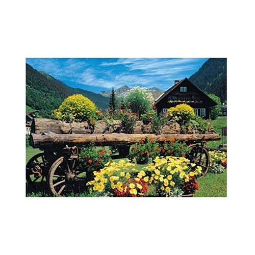 Puzzle 1000 Pices Fleurs Des Alpes