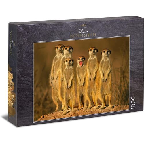 Puzzle Suricate: Puzzle 1000 Pices - Motif De Puzzle D'un Drle De Groupe De Petits Suricates En Afrique