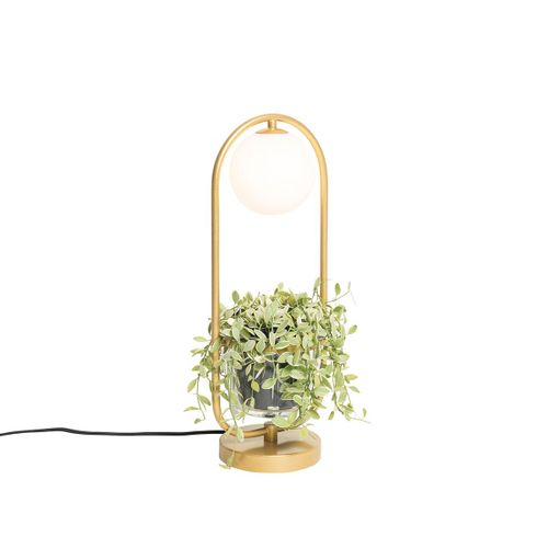 Qazqa Art Deco /Design Art Deco Tafellamp Goud Met Wit Glas - Isabella Acier /Verre Dor/Laiton,Blanc Ovale / Luminaire / Lumiere / clairage / Intrieur / Salon G9 Max. 1 X 5 Watt