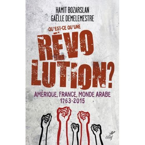 Qu'est-Ce Qu'une Revolution ? - Amerique, France,Monde Arabe - 1763-2015  