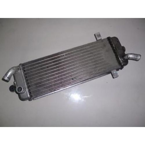 Radiateur De Refroidissement Origine Pour Scooter Suzuki 125 Burgman 2006 Ktm 45377 Occasion