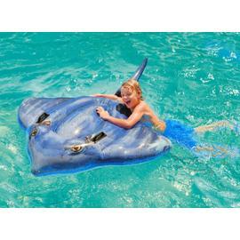 Diffuseur piscine flottant avec thermomètre - OOGarden