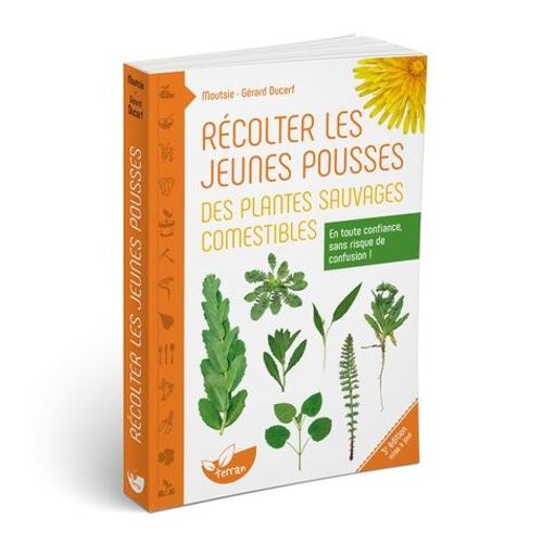 Rcolter Les Jeunes Pousses Des Plantes Sauvages Comestibles   de Moutsie  Format Beau livre 