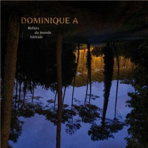 Reflets Du Monde Lointain - Vinyle 33 Tours - Dominique A