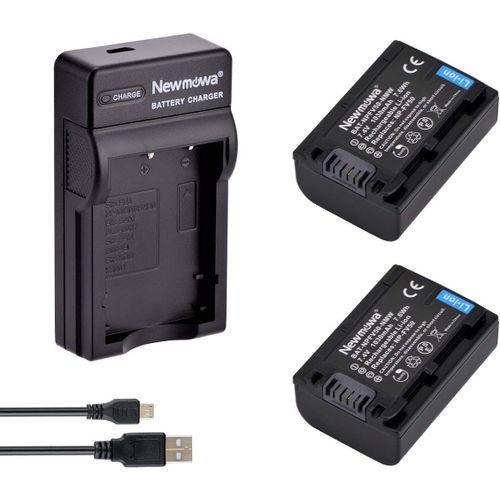 Remplacement Batterie Np-Fv50 (2) Et Chargeur Usb Portable Kit Pour Sony Np-Fv50 Et Sony Pj430V, Pj540, Pj580V, Pj650V, Pj710V, Pj760V, Pj790V, Pj810, Td20V, Td30V, Xr150[ChargeurUsb510]