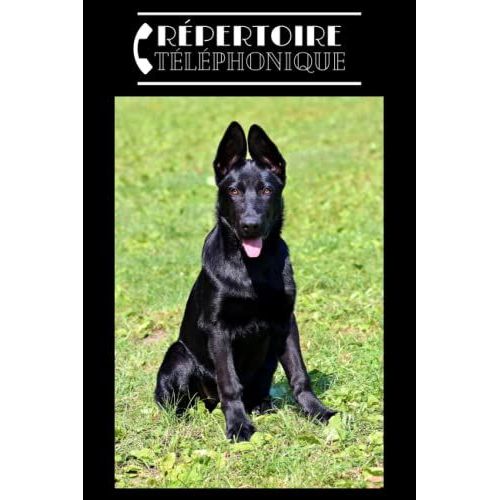 Rpertoire Tlphonique: Alphabtique Chien Berger Allemand. Carnet Dadresses & Tlphones  Complter Au Format A5 Pour Plus De 400 Contacts   de Denis, Armelle  Format Broch 