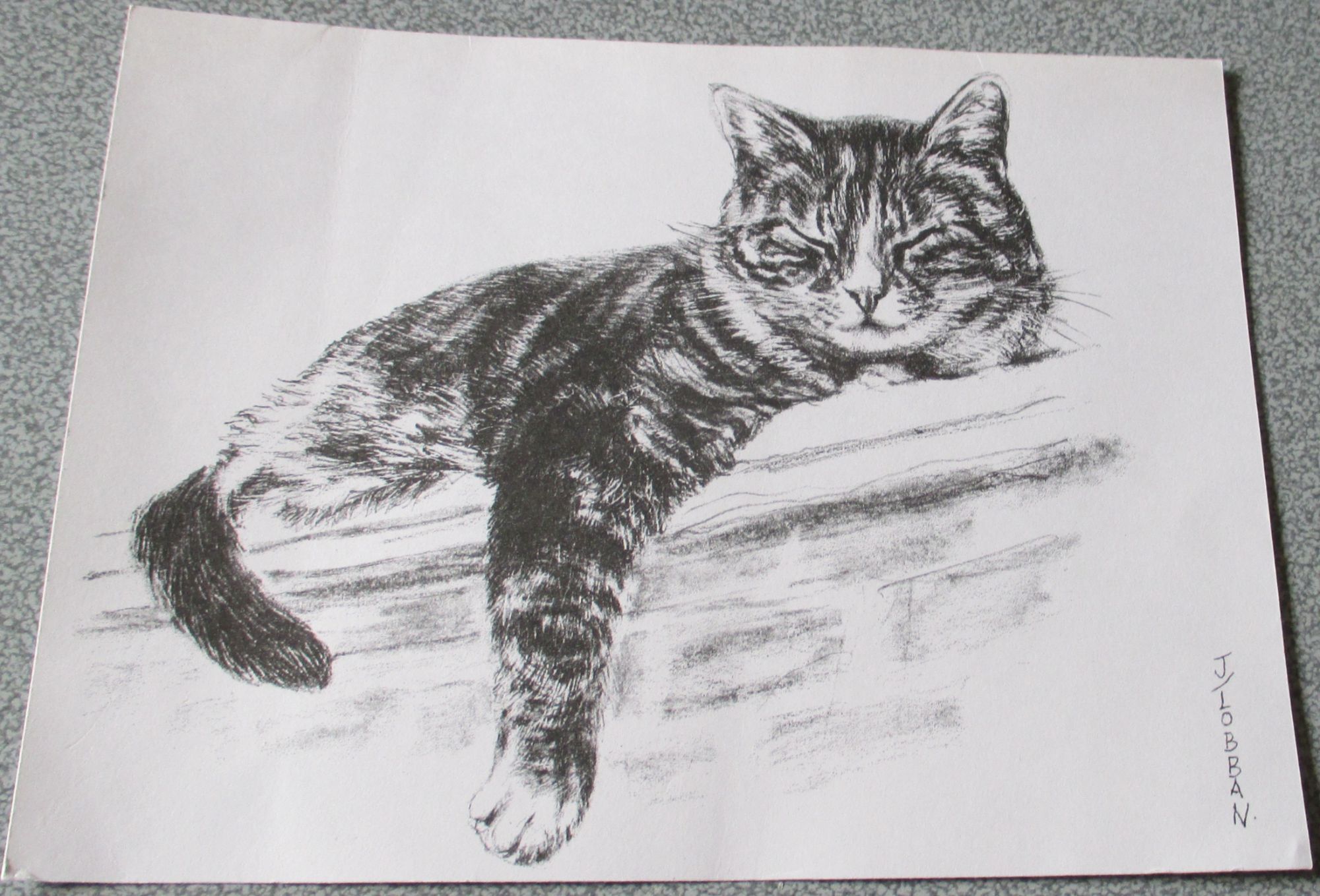 Reproduction D Un Dessin De J Lobban Chat Tigre Alangui Et Endormi A Califourchon Sur Un Pan De Mur En Noir Et Blanc 21x15 5cm Rakuten