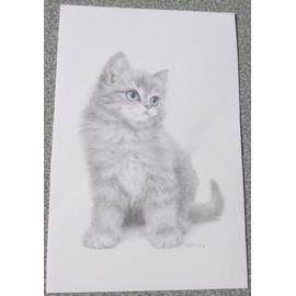 Reproduction D Un Delicat Dessin De Virginia Miller Un Fier Chat Gris Aux Yeux Bleus Bien Campe Sur Ses Pattes 9 5x15cm Environ Rakuten