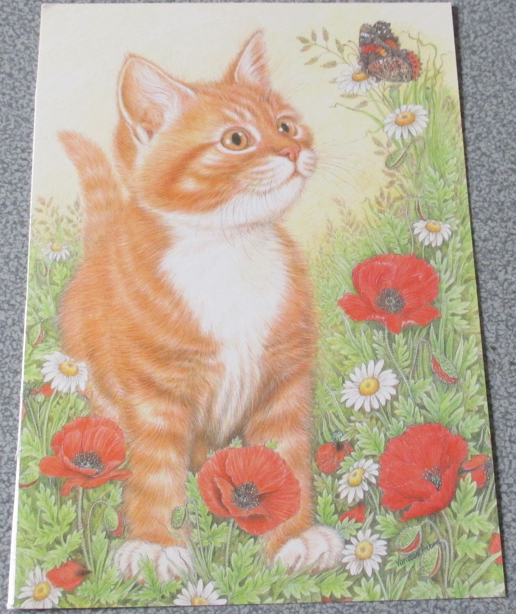 Reproduction D Un Dessin De Vanessa Adams Repesentant Un Chaton Roux Et Blanc Observant Un Papillon Au Milieu De Coquelicots Et Marguerites 12 5x18cm Pour Collection De Chats Ou Plaisir De L Image Rakuten