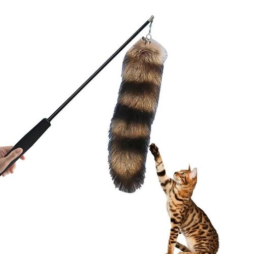 Rtractable Chat Teaser Baguette Jouet Jouet De Chat Interactif Rtractable Baguette Magique De Chat Jouet Interactif Chat Baguette Jouets Pour Chats Danseur Teaser