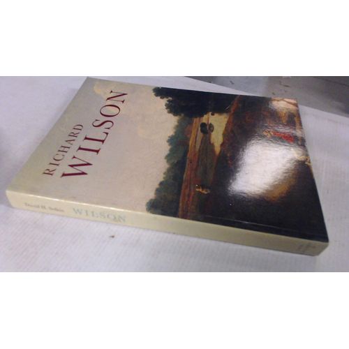 Richard Wilson The Landscape Of Reaction   de David H. Solkin 