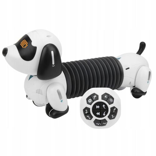 Robot Jouet Pour Chien Programmation D'un Robot Pilote