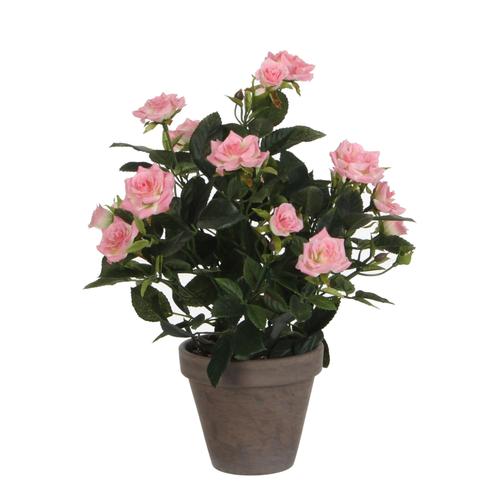 Rosier Artificielle Rose En Pot H33