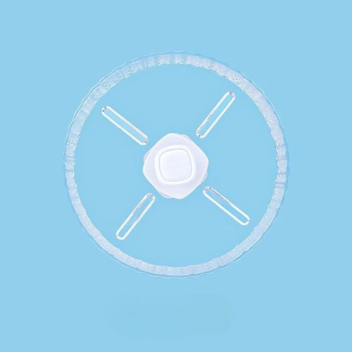 Roues De Course Pour Hamsters En Acrylique,Course Transparente,Rouleaux D'exercice Silencieux,Roues Agrandies,Jouets Golden Bears,Kasgehogs - Type 17cm Wheel