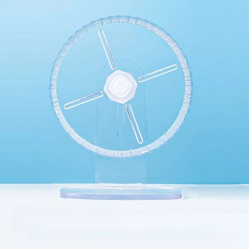 Roues De Course Pour Hamsters En Acrylique,Course Transparente,Rouleaux D'exercice Silencieux,Roues Agrandies,Jouets Golden Bears,Kasgehogs - Type 21cm Acrylic Set