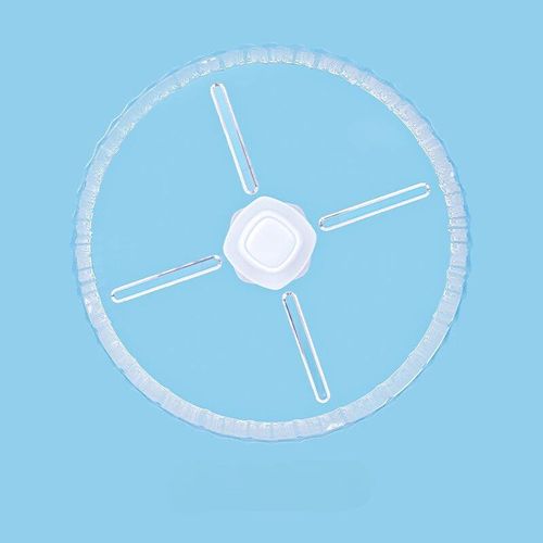 Roues De Course Pour Hamsters En Acrylique,Course Transparente,Rouleaux D'exercice Silencieux,Roues Agrandies,Jouets Golden Bears,Kasgehogs - Type 21cm Wheel