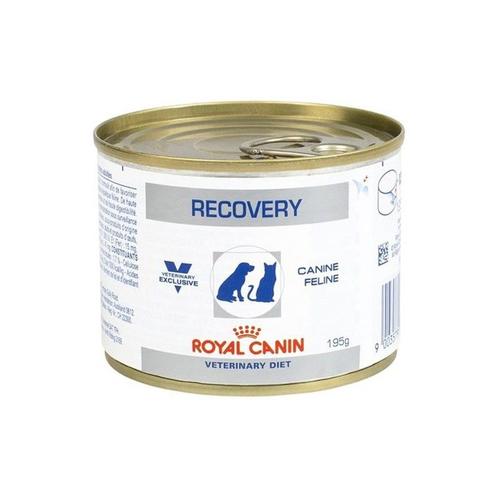 Pte Recovery Chien Et Chat 12x195g - Veterinary Diet