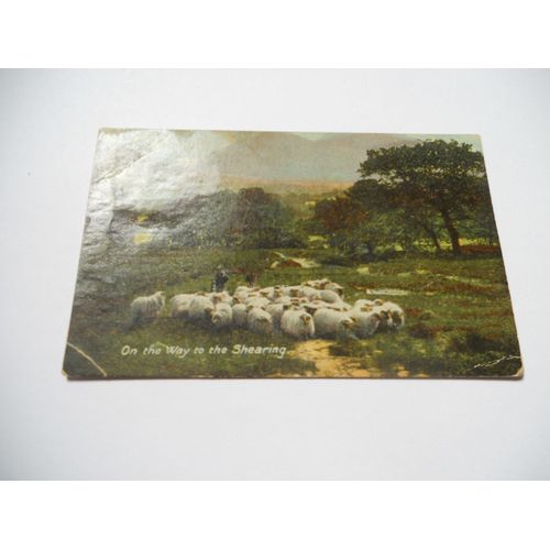 Royaume Uni Carte Ancienne Couleur On The Way To The Shearing Berger Et Mouton