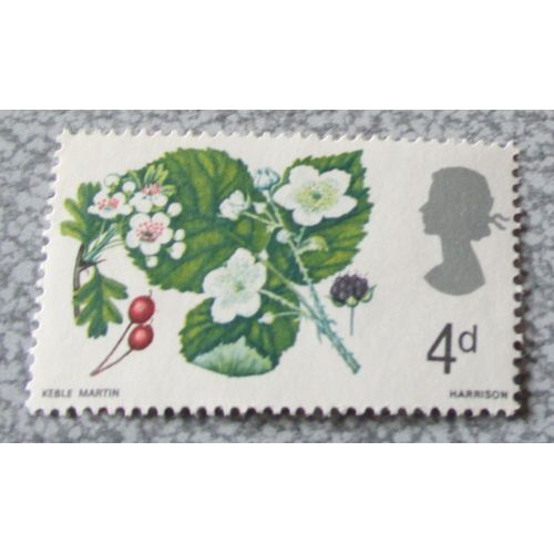 Royaume-Uni-Timbre Anglais 4d Old Penny-Wild Flowers- Hawthorn And Bramble-Fleurs Sauvages Anglaises-Date De Sortie 24/04/1967-41x24mm-Neuf
