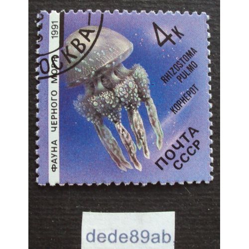 Russie..  4k Noyta C C C P . Mduse Rhizostoma Pulmo Lung La Mer . Oblitr Used Stamp.
