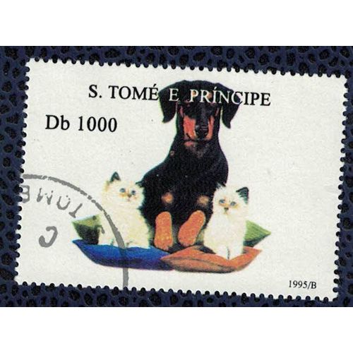 S. Tom Et Principe 1995 Oblitr Used Dog Dachshund Chien Teckel Avec Deux Chatons Su
