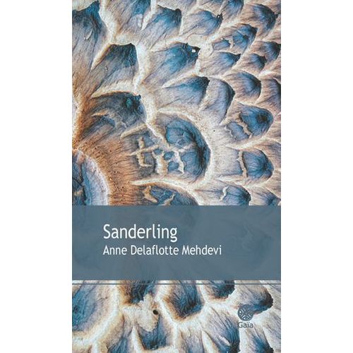 Sanderling  