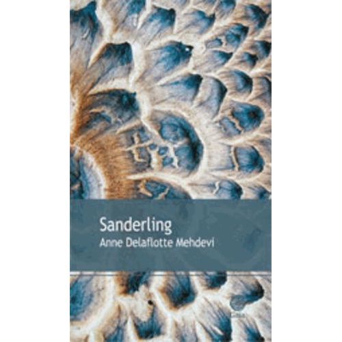 Sanderling    Format Grand Format 