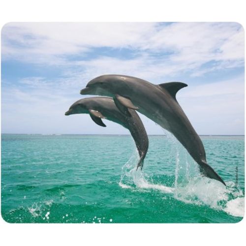 Saut DE Dauphins Tapis de Souris (24 x 19 cm) en Caoutchouc spcial extrmement rsistant  la dchirure avec Une Face infrieure Fortement adhsive pour Une Tenue optimale.[F191]