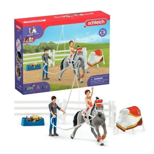 Horse Club Entrainement  La Voltige