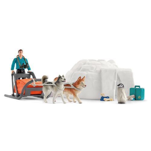 Wild Life Expdition En Antarctique
