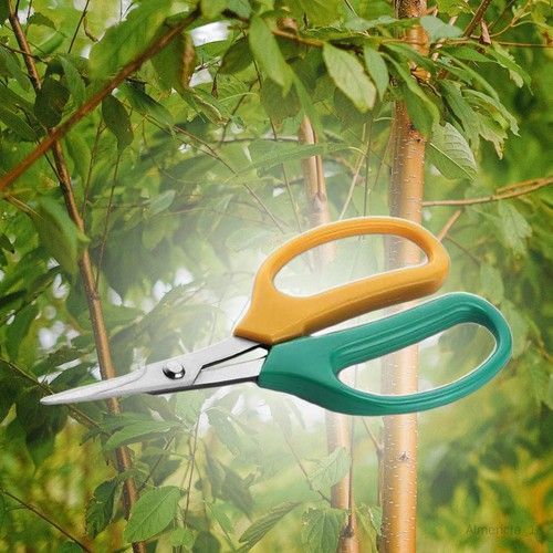 Ciseaux D'élagage De Jardinage, Branches D'élagage De Jardin, Fleurs Spéciales, Pelouse, Branches épaisses, Haie, Grands Ciseaux Puissants, Lame Large Rétractable