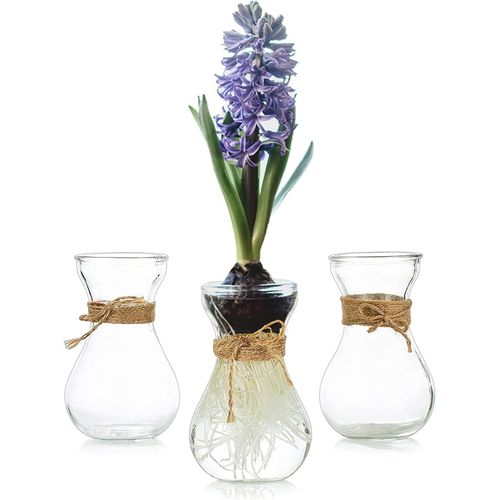 Set Of 3 Small Clear Glass Vases With String For Forcing Avocado Hyacinth Bulbs And Small Flower Vases For Wedding Table Centerpiece Home Decoration
